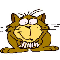 cat050.gif