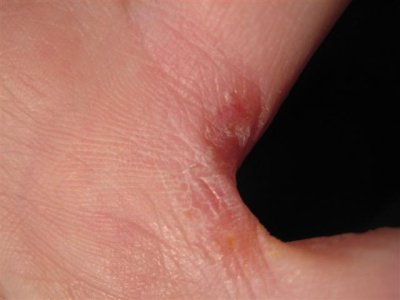 IMG_1166 (Small).jpg