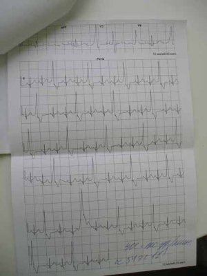 P1012160.jpg P1012160.jpg