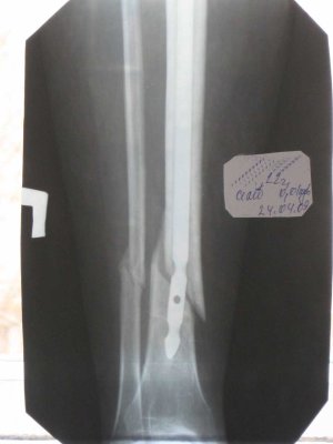 Снимок от 24.04.09.jpg