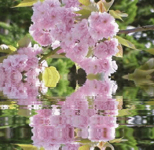 Господи, благодарю Тебя.gif