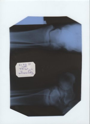 Изображение 115.jpg