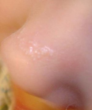 ос малой2.jpg