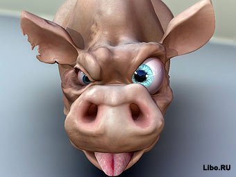 Свиной грипп.jpg