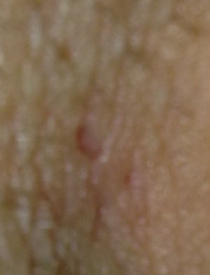 22032010058.jpg