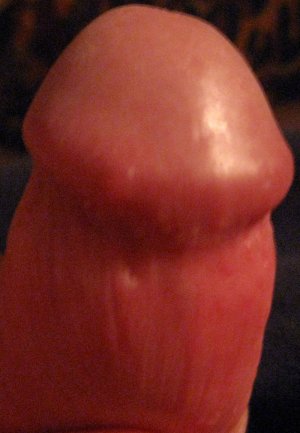 IMG_1217 - копия.JPG IMG_1217 - копия.JPG