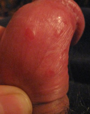 IMG_1221 - копия.JPG IMG_1221 - копия.JPG