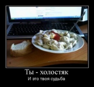 холостяк.jpg