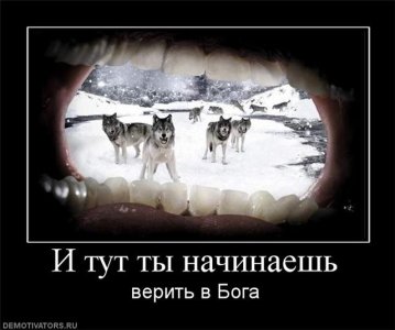 c1e61c0f4533.jpg c1e61c0f4533.jpg