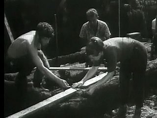 b_419180.jpg b_419180.jpg