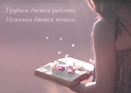 Книга моя.jpg
