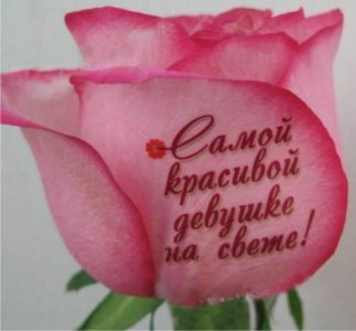 357539.jpg 357539.jpg