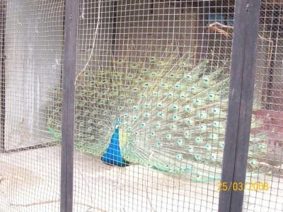 normal_105_0321.JPG normal_105_0321.JPG