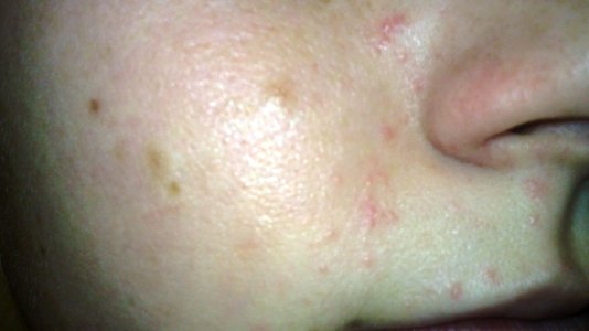 26012011318.JPG 26012011318.JPG