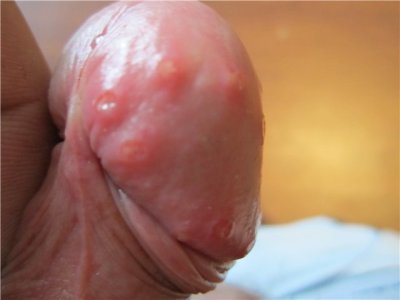 911a0e4faa85.jpg 911a0e4faa85.jpg