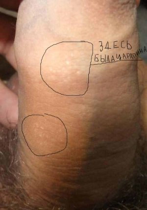 Изображение 026.jpg