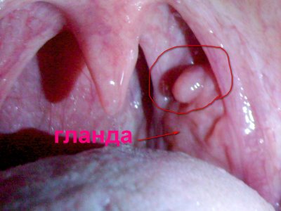 S7300832.JPGс надписью.jpg