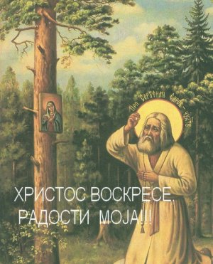 Святой Серафим.jpg