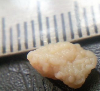 x1fbIQNv.jpg x1fbIQNv.jpg