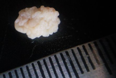 NxDSETh2.jpg NxDSETh2.jpg