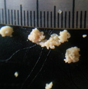 0c5bJyyS.jpg 0c5bJyyS.jpg