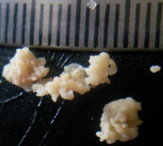 38VESNh2.jpg 38VESNh2.jpg