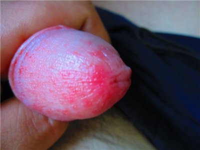 224dd70f3e8e.jpg 224dd70f3e8e.jpg