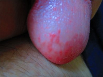 3f5d16e5bf82.jpg 3f5d16e5bf82.jpg