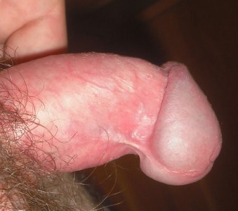 CIMG2512.jpg CIMG2512.jpg