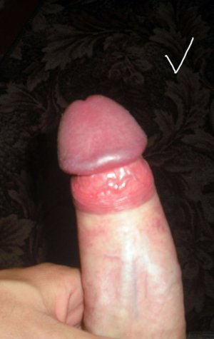 CIMG2522.jpg CIMG2522.jpg