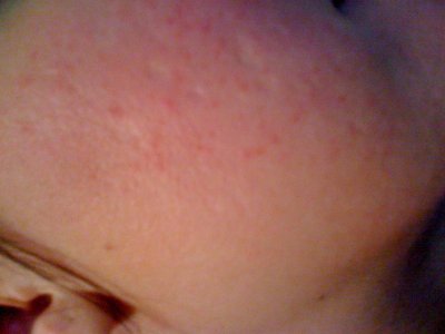IMG_2053.jpg