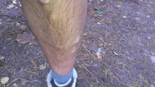 IMAG0556 (640x361).jpg