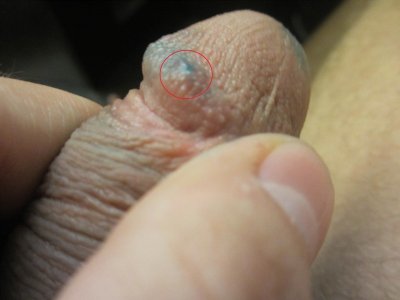 IMG_0473.JPG IMG_0473.JPG