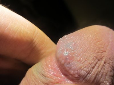 IMG_0477.JPG IMG_0477.JPG