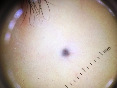 фотография 2.JPG