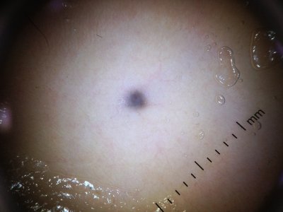 фотография 3.JPG