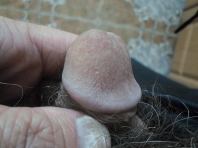 SAM_0550.jpg SAM_0550.jpg