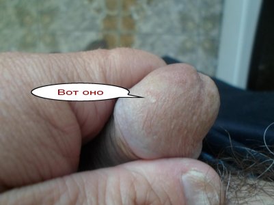 SAM_0551.jpg SAM_0551.jpg