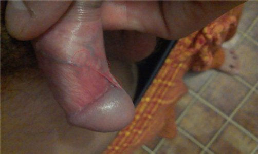 510b23bf2d7c.jpg 510b23bf2d7c.jpg