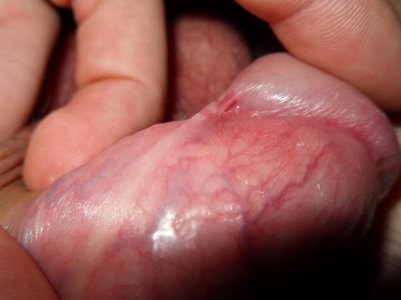 11f724fbd46b.jpg 11f724fbd46b.jpg