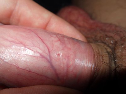 802ae5bd03a5.jpg 802ae5bd03a5.jpg