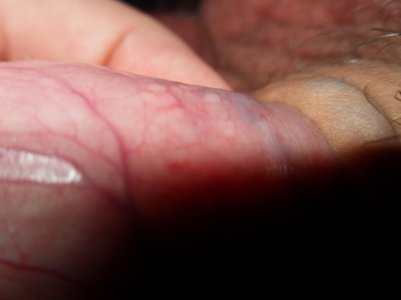 524f8ee62951.jpg 524f8ee62951.jpg