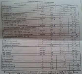 11111_1.jpg