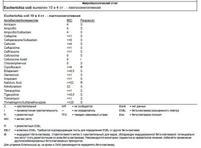 анализ на дисбактериоз. микробиол. отчет.JPG