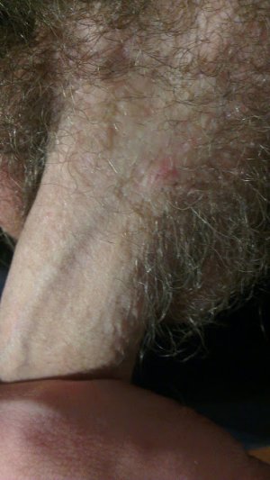 IMAG0458.jpg