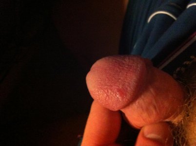image (1).jpg