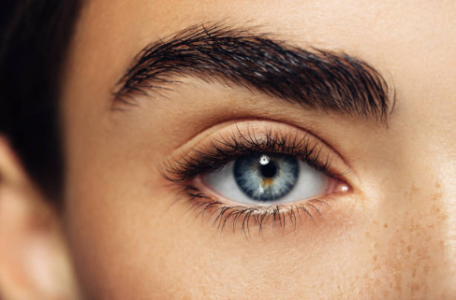 Screenshot_2018-07-06 Eyebrow Model Stock Photos and Pictures Getty Images.png