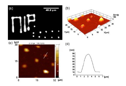 Наноручка и «рисунки» под микроскопом.jpg