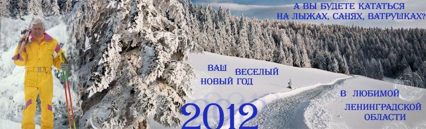 shapka_new_year.JPG