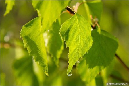 82327217.jpg 82327217.jpg